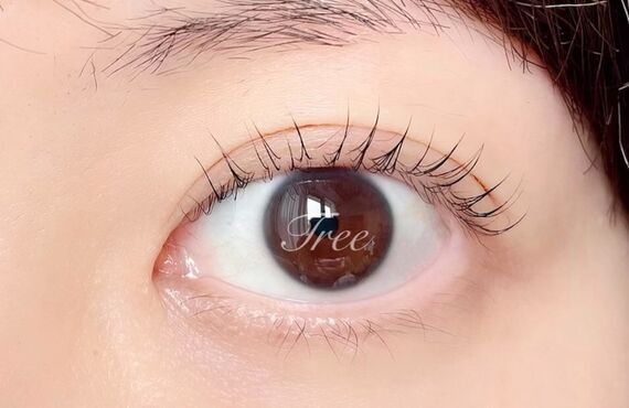 まつ毛を長く伸ばす施術を行っています | 川口のマツエクならTree 〜eyelash salon〜